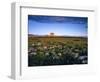 Chief Mountain and Prairie Wildflowers at Glacier National Park, Montana, USA-Chuck Haney-Framed Photographic Print