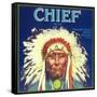 Chief Orange Label - Redlands, CA-Lantern Press-Framed Stretched Canvas