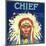 Chief Orange Label - Redlands, CA-Lantern Press-Mounted Art Print