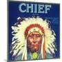 Chief Orange Label - Redlands, CA-Lantern Press-Mounted Art Print