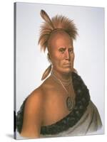 Chief Sharitarish, 1821 (Colour Litho)-Charles Bird King-Stretched Canvas