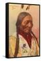 Chief Sitting Bull, Sioux Indian-null-Framed Stretched Canvas