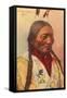 Chief Sitting Bull, Sioux Indian-null-Framed Stretched Canvas