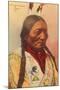 Chief Sitting Bull, Sioux Indian-null-Mounted Art Print