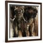 Chief-Joshua Schicker-Framed Giclee Print