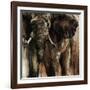 Chief-Joshua Schicker-Framed Giclee Print