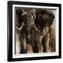 Chief-Joshua Schicker-Framed Giclee Print