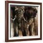 Chief-Joshua Schicker-Framed Giclee Print