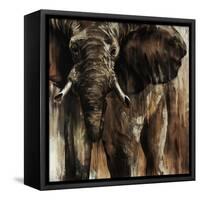 Chief-Joshua Schicker-Framed Stretched Canvas