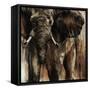 Chief-Joshua Schicker-Framed Stretched Canvas