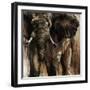 Chief-Joshua Schicker-Framed Giclee Print