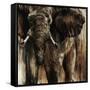 Chief-Joshua Schicker-Framed Stretched Canvas