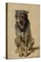 Chien-Rosa Bonheur-Stretched Canvas