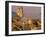 Chiesa della Conceszione Church Detail, Laigueglia, Riviera di Ponente, Liguria, Italy-Walter Bibikow-Framed Photographic Print