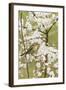 Chiffchaff on Blackthorn Blossom-null-Framed Photographic Print