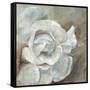 Chiffon in Cream-Farrell Douglass-Framed Stretched Canvas