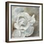 Chiffon in Cream-Farrell Douglass-Framed Premium Giclee Print