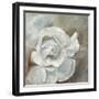 Chiffon in Cream-Farrell Douglass-Framed Premium Giclee Print