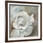 Chiffon in Cream-Farrell Douglass-Framed Giclee Print