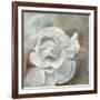 Chiffon in Cream-Farrell Douglass-Framed Giclee Print