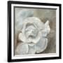 Chiffon in Cream-Farrell Douglass-Framed Giclee Print