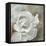 Chiffon in Cream-Farrell Douglass-Framed Stretched Canvas
