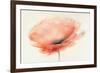 Chiffon Poppy-J^P^ Prior-Framed Art Print