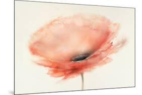 Chiffon Poppy-J^P^ Prior-Mounted Art Print