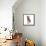 Chihuahua Abstract Circles-Ron Magnes-Framed Stretched Canvas displayed on a wall