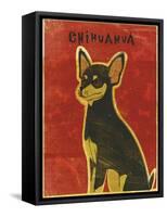 Chihuahua (black and tan)-John W Golden-Framed Stretched Canvas