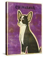 Chihuahua (black and white)-John W Golden-Stretched Canvas