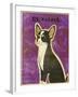 Chihuahua (black and white)-John W Golden-Framed Giclee Print