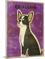 Chihuahua (black and white)-John W Golden-Mounted Giclee Print