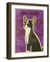 Chihuahua (black and white)-John W Golden-Framed Giclee Print