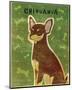 Chihuahua (chocolate and tan)-John W^ Golden-Mounted Art Print