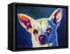 Chihuahua - Coco-Dawgart-Framed Stretched Canvas