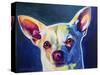 Chihuahua - Coco-Dawgart-Stretched Canvas