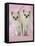 Chihuahua Dog-null-Framed Stretched Canvas
