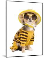 Chihuahua Dressed With T-Shirt, Straw Hat And Sun Glasses-vitalytitov-Mounted Photographic Print