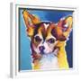 Chihuahua - Honey-Dawgart-Framed Giclee Print