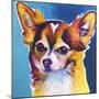 Chihuahua - Honey-Dawgart-Mounted Giclee Print