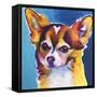 Chihuahua - Honey-Dawgart-Framed Stretched Canvas
