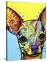 Chihuahua I-Dean Russo-Stretched Canvas
