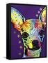 Chihuahua II-Dean Russo-Framed Stretched Canvas