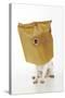 Chihuahua in Paper Bag with Nose Showing-null-Stretched Canvas