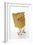 Chihuahua in Paper Bag with Nose Showing-null-Framed Photographic Print