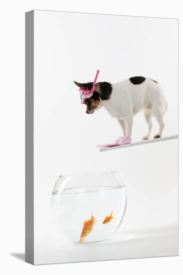 Chihuahua in Scuba Gear over Goldfish Bowl-null-Stretched Canvas