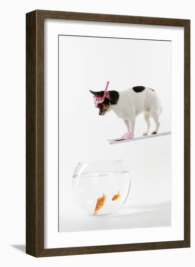 Chihuahua in Scuba Gear over Goldfish Bowl-null-Framed Photographic Print