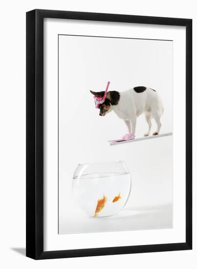 Chihuahua in Scuba Gear over Goldfish Bowl-null-Framed Photographic Print