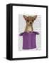 Chihuahua in Top Hat-Fab Funky-Framed Stretched Canvas